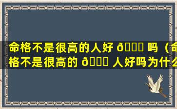 命格不是很高的人好 🐘 吗（命格不是很高的 🐛 人好吗为什么）